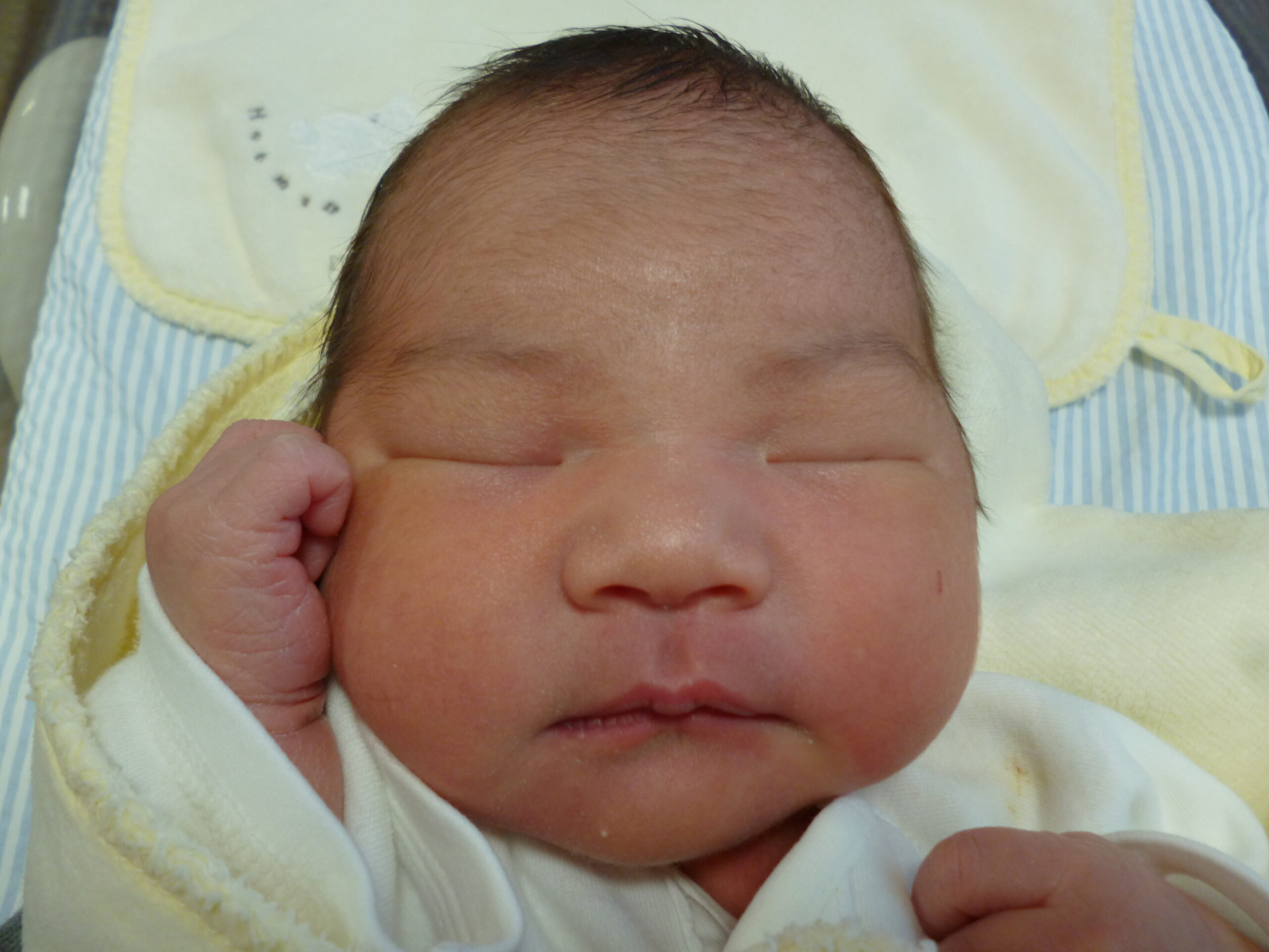 2025年12月30日 吉野baby〈女の子〉