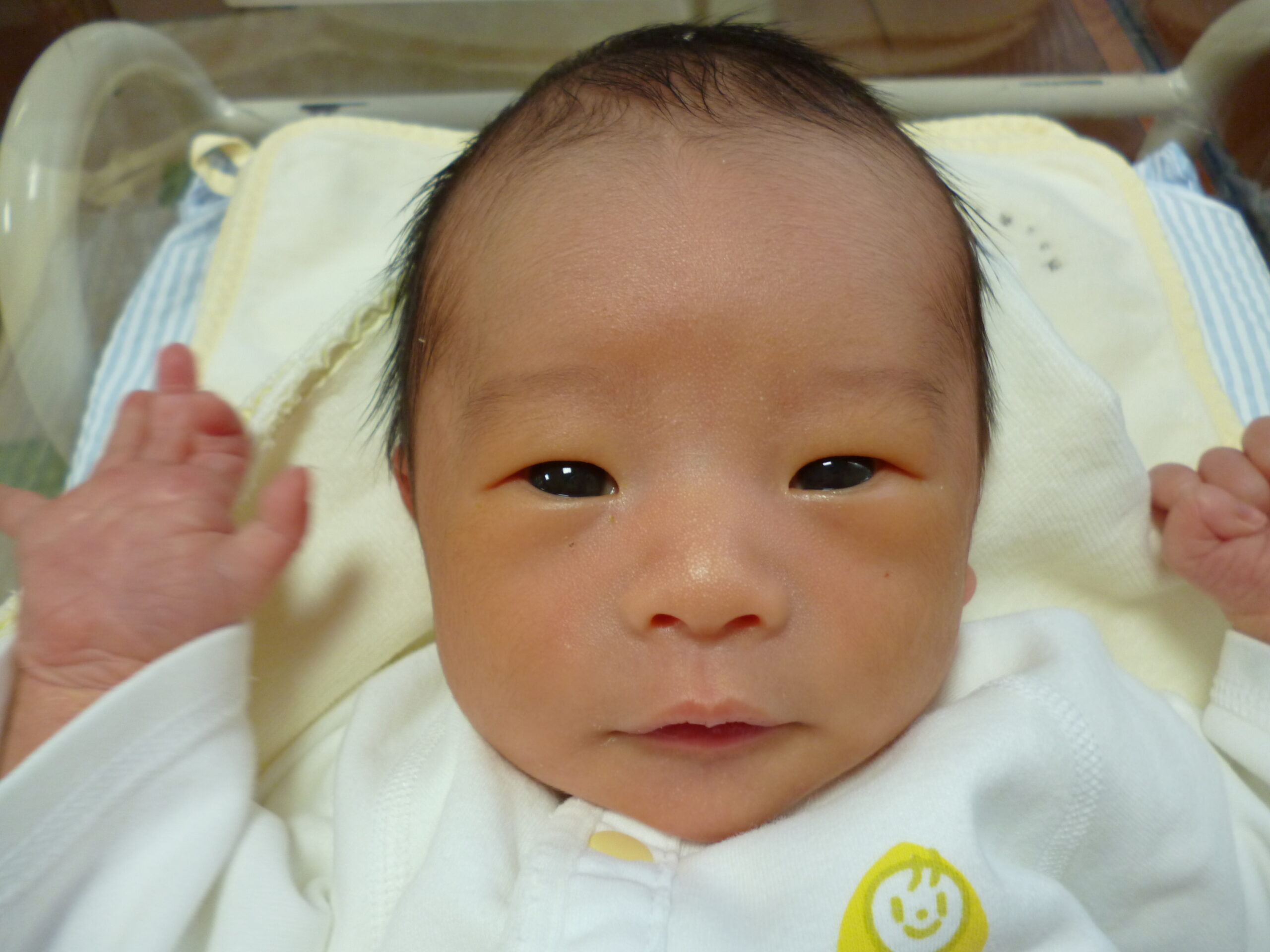 2025年12月30日 才木baby〈男の子〉